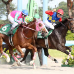 【レパードS】5番人気ライオットガール競り合いを制しV!重賞初挑戦で初タイトル