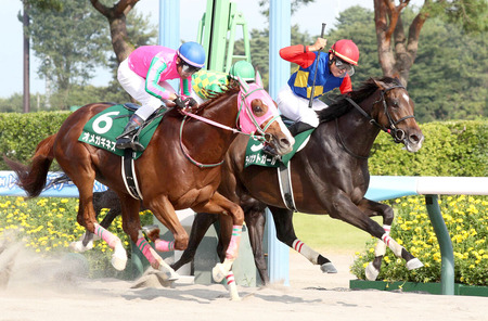 【レパードS】5番人気ライオットガール競り合いを制しＶ！重賞初挑戦で初タイトル