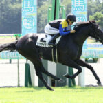 【2歳未勝利】2.2億円馬ラケダイモーン順当に勝ち上がる