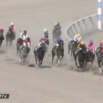 【レパードS】14着ミスティックロア川田wwww