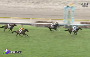 【2歳新馬】ガルサブランカ強すぎワロタｗｗｗ