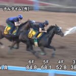 【関屋記念2023】追い切り/調教を見てわかる事