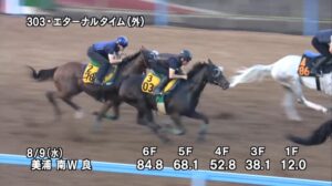 【関屋記念2023】追い切り/調教を見てわかる事