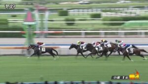 【競馬】4億円馬ホウオウプロサンゲが2戦目であっさり勝ち上がり