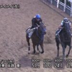 【北九州記念2023】追い切り/動きからレースを紐解く