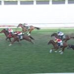 【キーンランドカップ2023】出走予定馬・騎手/北に集いし快速馬