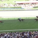 【札幌記念2023】結果・動画/プログノーシスが突き抜け圧勝