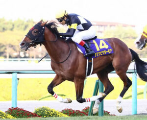 【訃報】菊花賞馬アスクビクターモアが熱中症で急死