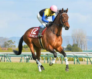 【衝撃】マカヒキの初年度種付け頭数104頭