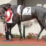 【競馬予想】[1]第15回レパードステークス(GⅢ) /2023