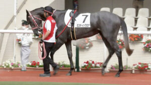 【競馬予想】[1]第15回レパードステークス(GⅢ) /2023