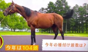 【競馬】マカヒキの初年度種付け頭数は104頭