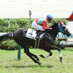 新馬圧勝のキャンシーエンゼル岩田望来が降板 松山弘平で小倉2歳Sへ