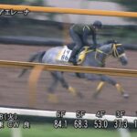 【小倉記念2023】追い切り/抜群の動きを見せたのは