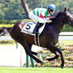 【2歳新馬】ハーツクライ産駒最後の大物ファーヴェント強すぎwwww