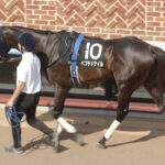 【競馬予想】[2]第28回エルムステークス(GⅢ) /2023