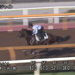 【レパードステークス2023】追い切り/動きからレースを紐解く