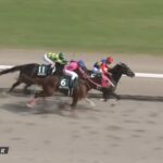 【レパードステークス2023】結果・動画/ライオットガールが接戦を制す