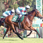 【関屋記念】4番人気アヴェラーレがV!重賞初制覇