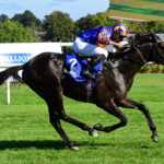 英愛ダービー馬オーギュストロダンは9/9愛チャンピオンSへ、今年限りで引退が濃厚