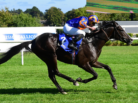 英愛ダービー馬オーギュストロダンは9/9愛チャンピオンＳへ、今年限りで引退が濃厚