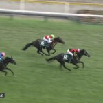 【新潟2歳ステークス2023】結果・動画/アスコリピチェーノが鋭く差し切る
