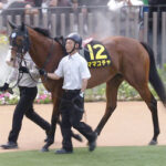 【競馬予想】第58回北九州記念(GⅢ) /2023