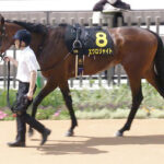 【競馬予想】[2]第15回レパードステークス(GⅢ) /2023