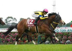 【競馬予想】[1]第59回札幌記念(GⅡ) /2023