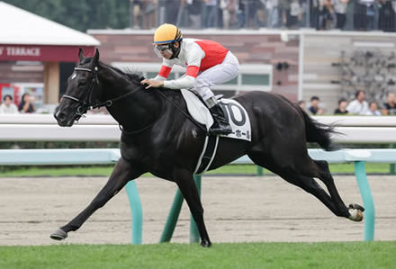 横山和生は長期離脱か？札幌2歳Sのパワーホールは横山典弘が代打騎乗へ