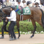 【競馬予想】[1]第18回キーンランドカップ(GⅢ) /2023