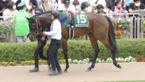 【競馬予想】[1]第18回キーンランドカップ(GⅢ) /2023