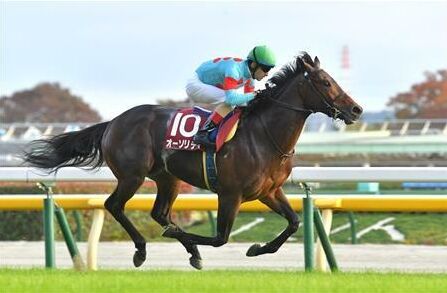 オーソリティ種牡馬入りへ　けい養先は優駿スタリオンS