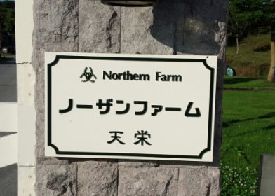 ノーザン天栄が方針転換「関東馬の出走回数を増やす。牧場から馬を送り返すサイクルを早める」