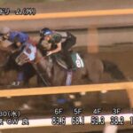 【小倉2歳ステークス2023】追い切り/調教を見てわかる事