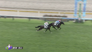 カンティアーモ強すぎワロタwww