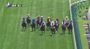 サフィラ松山騎手…