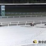 【ブリーダーズゴールドカップ2023】結果・動画/テリオスベルが圧逃V