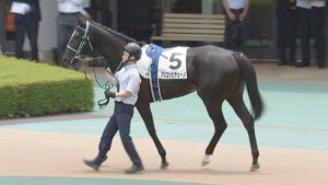 【競馬予想】第43回新潟2歳ステークス(GⅢ) /2023