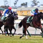 さぁ、とうするメイケイエールの取捨選択(ピンかパー)