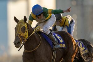 もう日本歴代最強ダート馬はウシュバテソーロでいいよな？