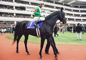 藤沢和雄厩舎で最強の馬って？