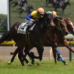 【競馬】日テレ盃をテレビでやらない日本テレビ