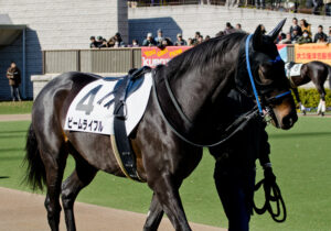 馬名にしても違和感のない食べ物は？