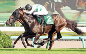 【京成杯AH】ソウルラッシュ強すぎてワロタwww