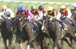 【競馬・ローズS】超絶レコード1.43.0ｗｗｗｗ マスクトディーヴァ強すぎてワロタ ｗｗｗｗｗｗｗｗｗｗｗｗｗｗ