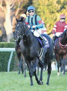 札幌記念2着トップナイフは横山典で菊花賞へ