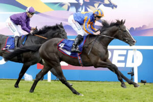 オーギュストロダンと同じくらいの強さの馬