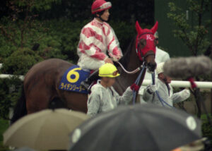 ライデンリーダーが四歳牝馬特別の一発屋でいつまでも人気しまくってた理由って何？