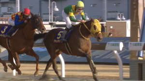 ウシュバテソーロさん、２勝馬を相手に半馬身遅れ